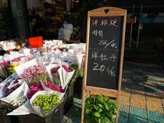 -溪岸路花鸟市场