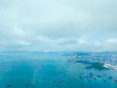 -天龙轩(香港丽思卡尔顿酒店)
