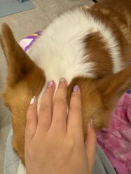 -Touch Nail·品质·美甲美睫
