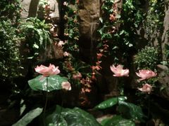 -金帝水疗会所(西湖店)