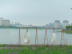 -九龙湖公园