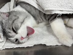 -良伴无忧宠物医院(泰欣嘉园店)