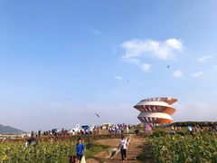-光明小镇欢乐田园