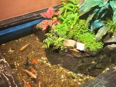 -隐炉和牛烧肉店(群力店)