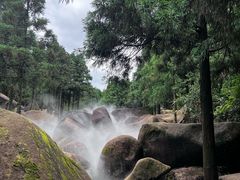 -玉苍山国家森林公园