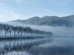 -大九湖