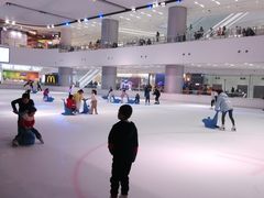 -TheRink大零溜冰场(IFS国金中心店)