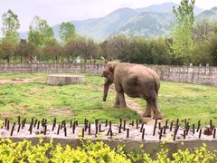 -西安秦岭野生动物园