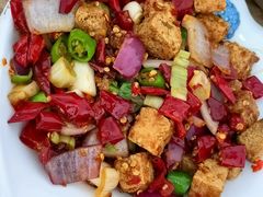 -风鑫铃罗非鱼(道沟店)