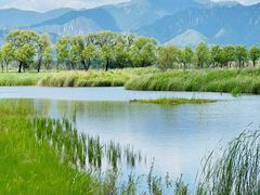-野鸭湖国家湿地公园