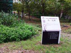-东平国家森林公园