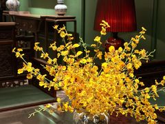 -金成潮菜博物馆(海珠湿地店)