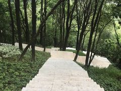 -火炉山森林公园