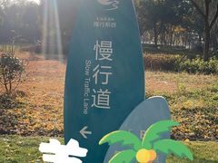 -贡湖湾湿地公园