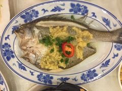 姜茸蒸咸水鲈鱼-金城大酒店-中餐厅(汾江中路店)