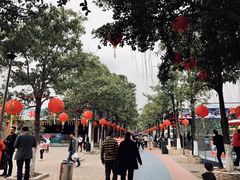 -水濂山乐民游艺园