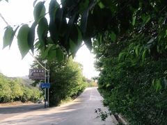 -炳灵寺世界文化遗产旅游区
