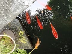 -胡雪岩故居