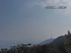 -惠山国家森林公园