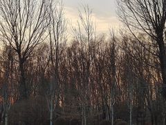 -秦皇岛野生动物园