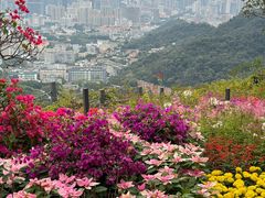 -广州市白云山风景名胜区