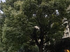 -上海南郊宾馆·阳光自助餐厅