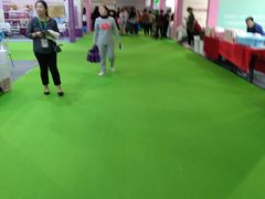 -东浩兰生上海世博展览馆