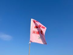 -光明小镇欢乐田园
