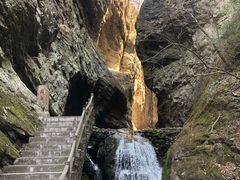 -牛背梁国家森林公园
