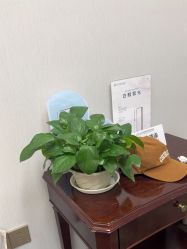 -禾丽康美医疗美容医院