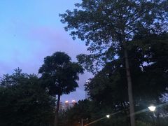 -南宁南湖公园