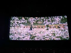 -武汉华夏国际影城(鲁广店)