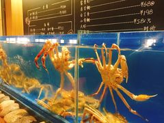 -綱元·海鲜豆捞(明州里店)