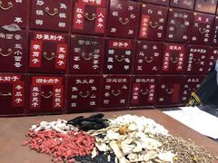 -北京同仁堂施小墨中医馆(建外SOHO店)