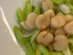 -诺莱仕游艇会