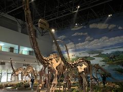 -自贡恐龙博物馆