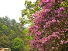 -宁波五龙潭景区