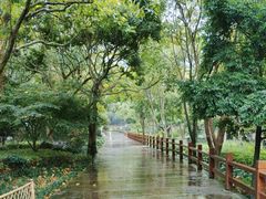 -普陀山风景名胜区-法雨禅寺