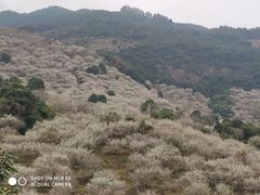 -福建天门山