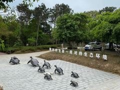 -广东惠东海龟国家级自然保护区