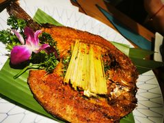 -紫滇源云南生态菜(丹凤街店)