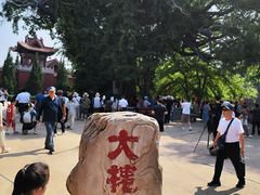 -大槐树寻根祭祖园