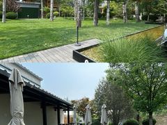 -禧宴Joyous Restaurant(禧园店)