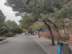 -北陵公园