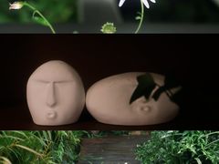 -椿Growth