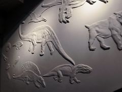 -甘肃地质博物馆