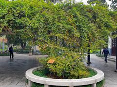 -昆山城市生态森林公园