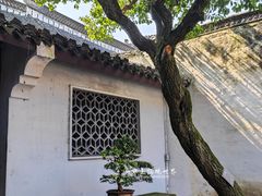 -绍兴鲁迅故里·沈园景区