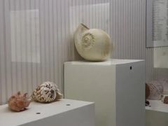 -青岛贝壳博物馆