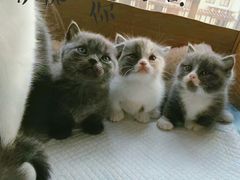 -星巴克(无锡东方商厦店)